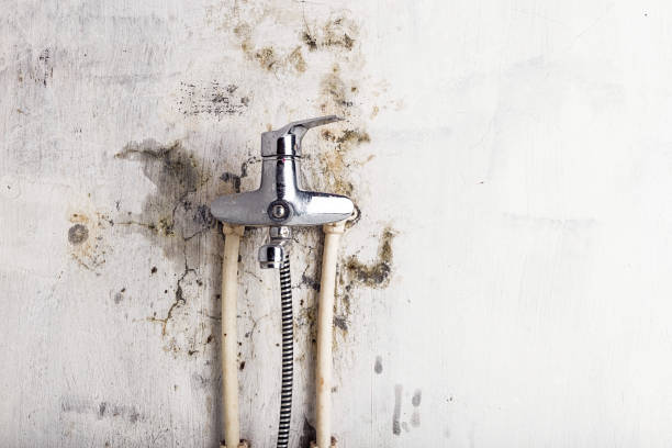Best Water Damage Restoration  in Offutt Af, NE