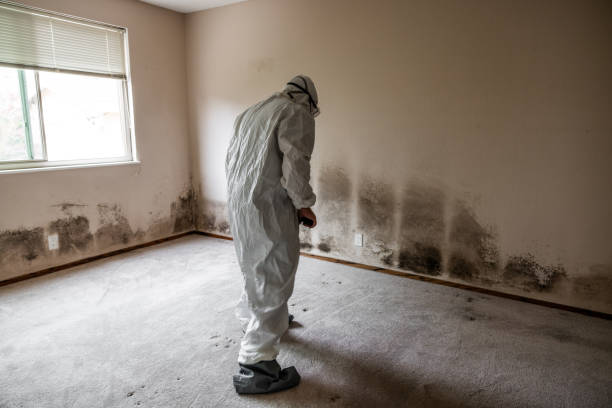 Water Damage Restoration in Offutt Af, NE